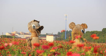 QQ截图20151021160255.png