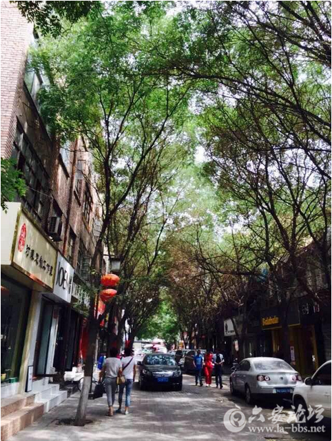 QQ截图20151022151746.png