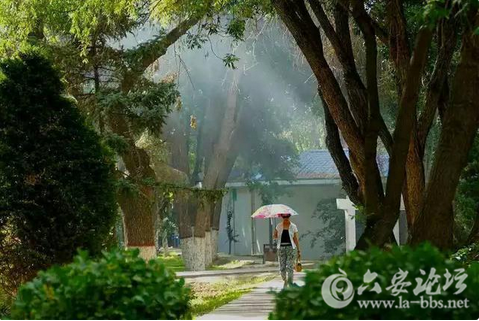 QQ截图20151022151840.png