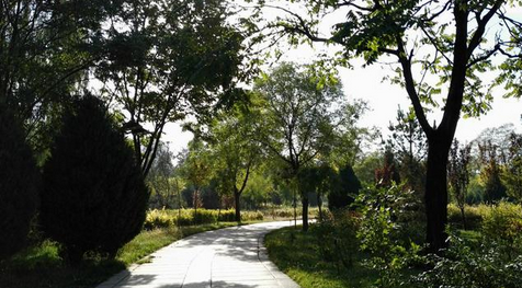 QQ截图20151022151901.png