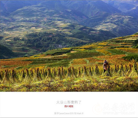 QQ截图20151023151743.png