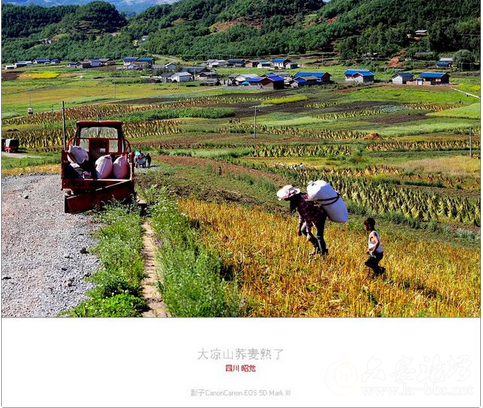 QQ截图20151023151755.png