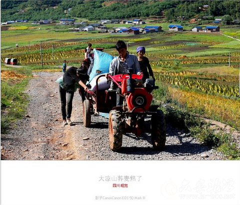QQ截图20151023151802.png