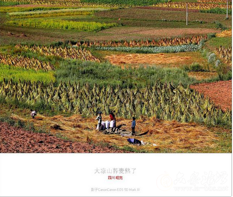 QQ截图20151023151749.png