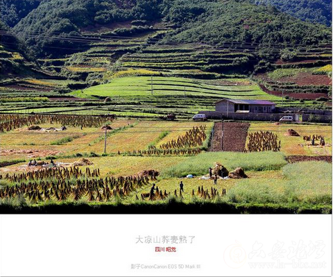 QQ截图20151023151809.png