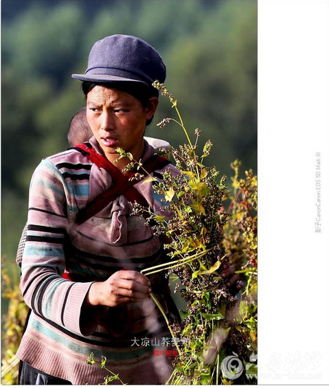 QQ截图20151023151816.png