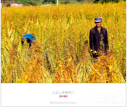 QQ截图20151023151823.png