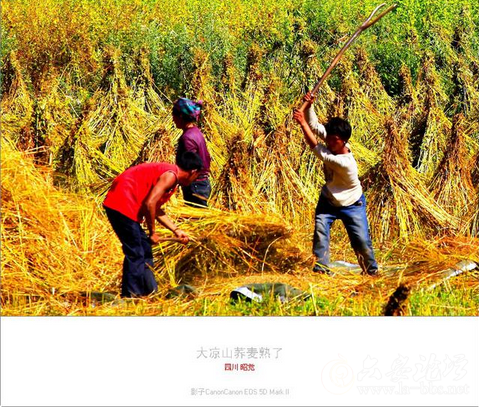 QQ截图20151023151830.png