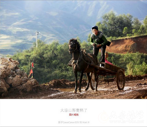 QQ截图20151023151851.png