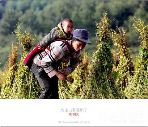 QQ截图20151023151844.png