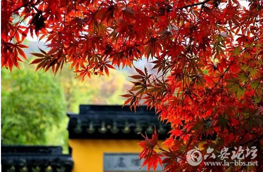 QQ截图20151026154147.png