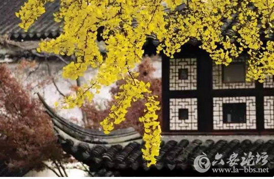 QQ截图20151026154141.png
