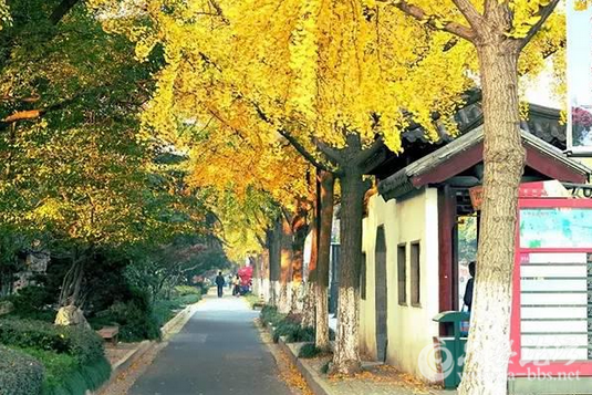 QQ截图20151026154158.png