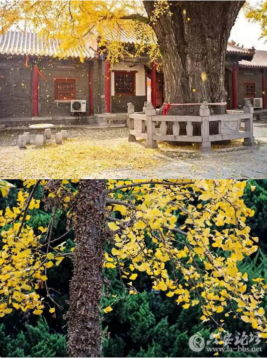 QQ截图20151026154221.png