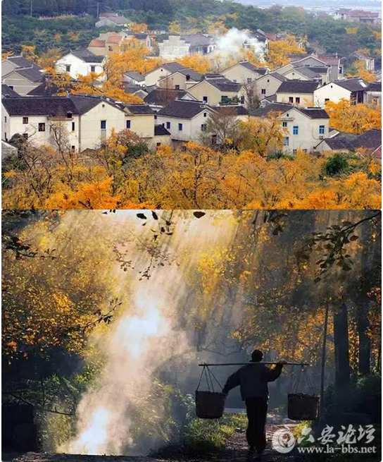 QQ截图20151026154228.png
