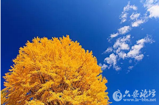 QQ截图20151026154756.png