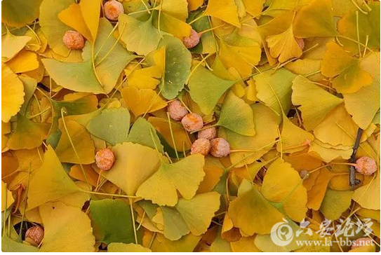 QQ截图20151026154802.png