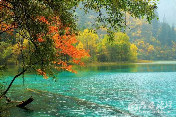 QQ截图20151026154808.png