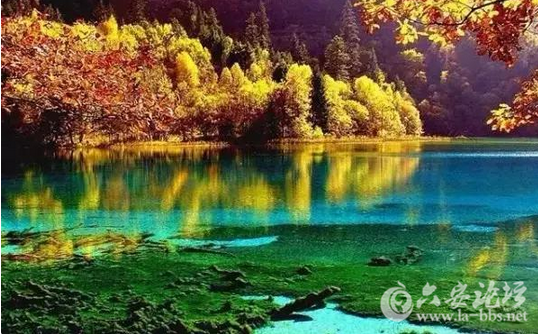 QQ截图20151026154830.png