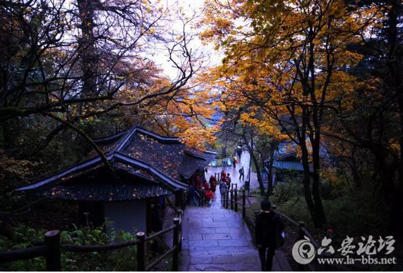 QQ截图20151026154841.png