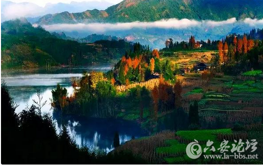 QQ截图20151026154846.png