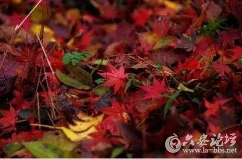 QQ截图20151027153934.png