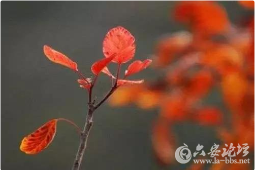 QQ截图20151027153928.png