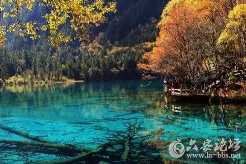 QQ截图20151027153840.png