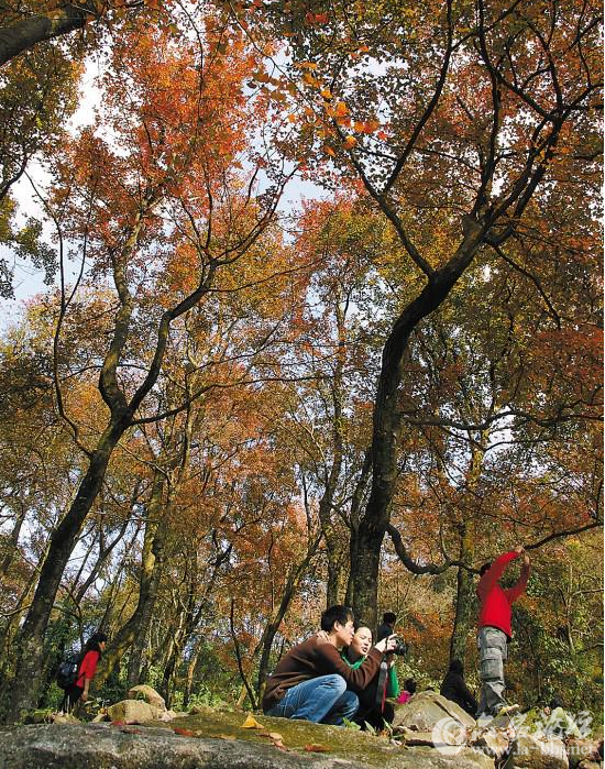 QQ截图20151027154358.png