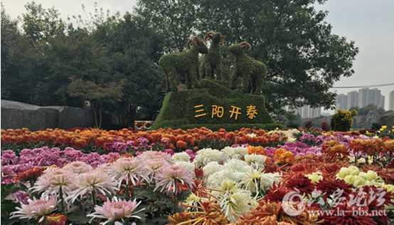QQ截图20151029143322.png