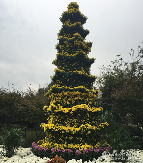 QQ截图20151029143329.png