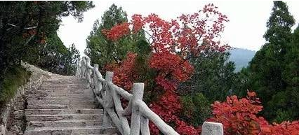 QQ截图20151029143734.png