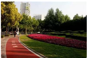 QQ截图20151030134204.png