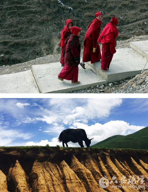 QQ截图20151102113410.png