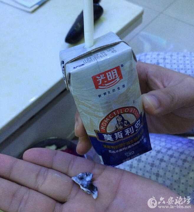 QQ截图20151103091910.jpg