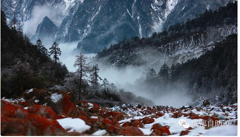 QQ截图20151103104335.png