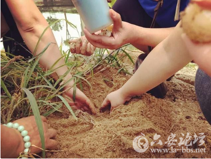 QQ截图20151103111619.png