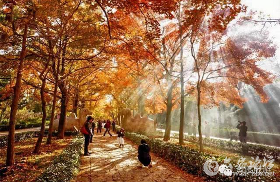 QQ截图20151104104817.png