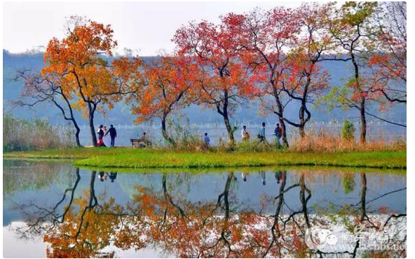 QQ截图20151104104822.png