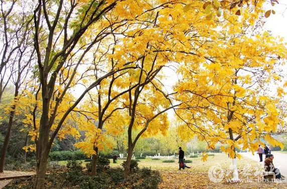 QQ截图20151104104905.png