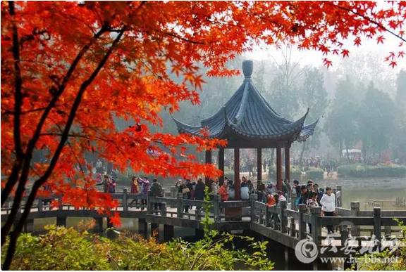 QQ截图20151104104917.png