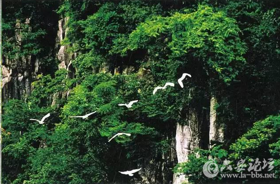 QQ截图20151104105511.png