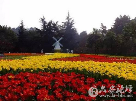 QQ截图20151106141420.png