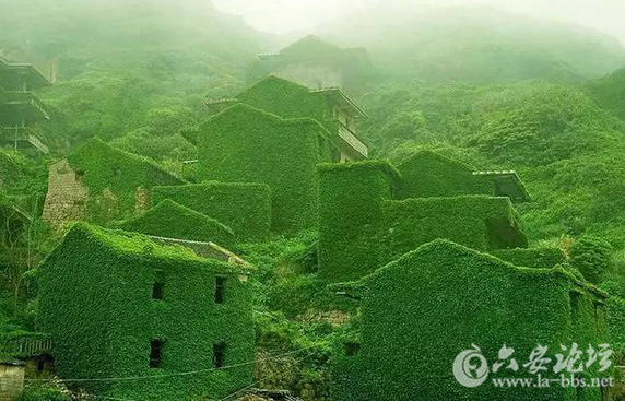 QQ截图20151118112051.png