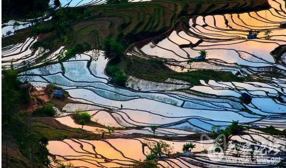 QQ截图20151118112136.png