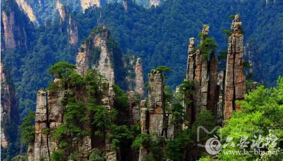 QQ截图20151118112244.png