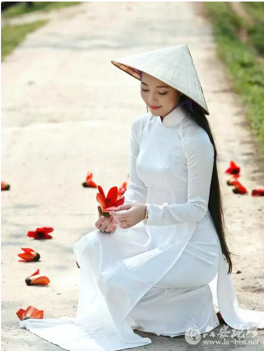 QQ截图20151119110517.png