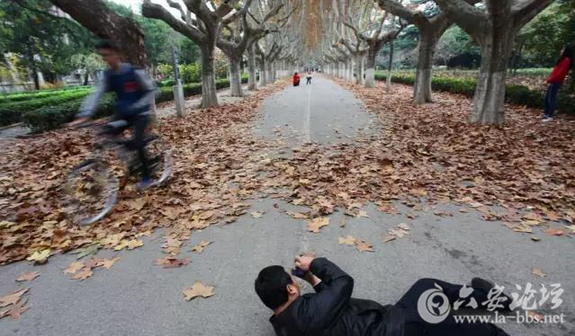 QQ截图20151125141839.png