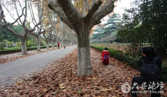 QQ截图20151125141849.png