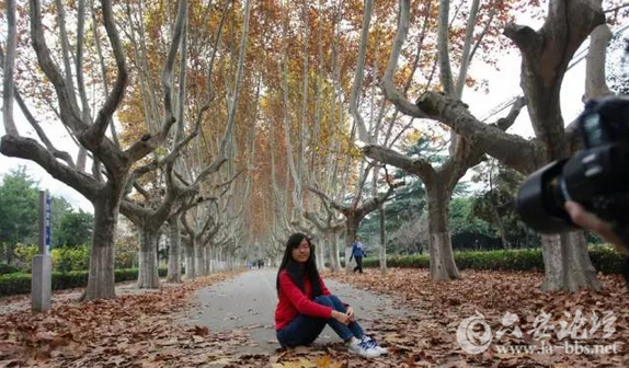 QQ截图20151125141856.png